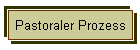 Pastoraler Prozess